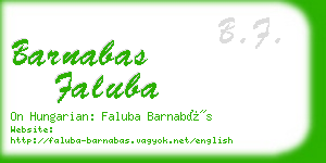 barnabas faluba business card